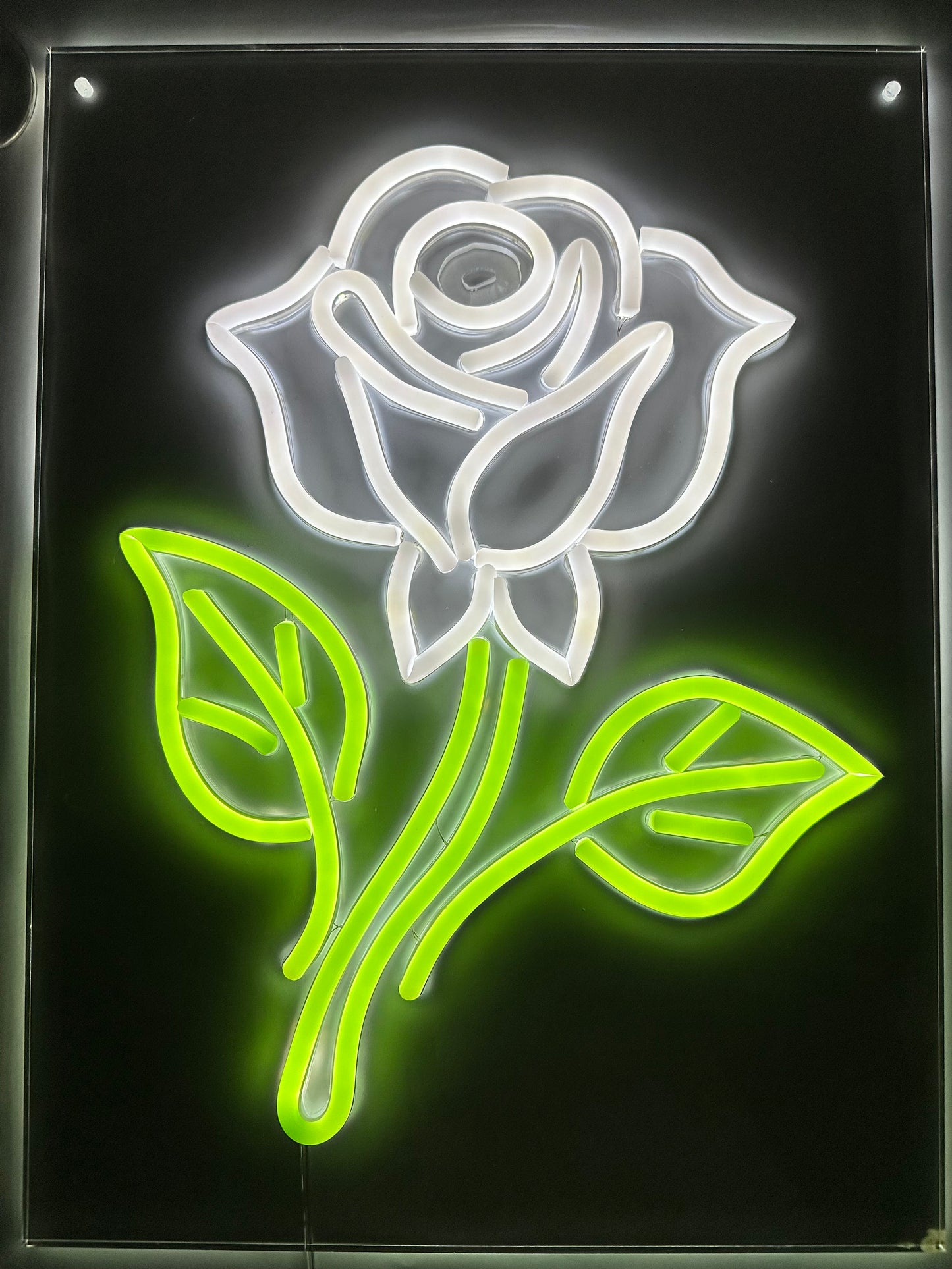 Custom LED Neon Sign on Acrylic Sheet - (Static or Adjustable Color)